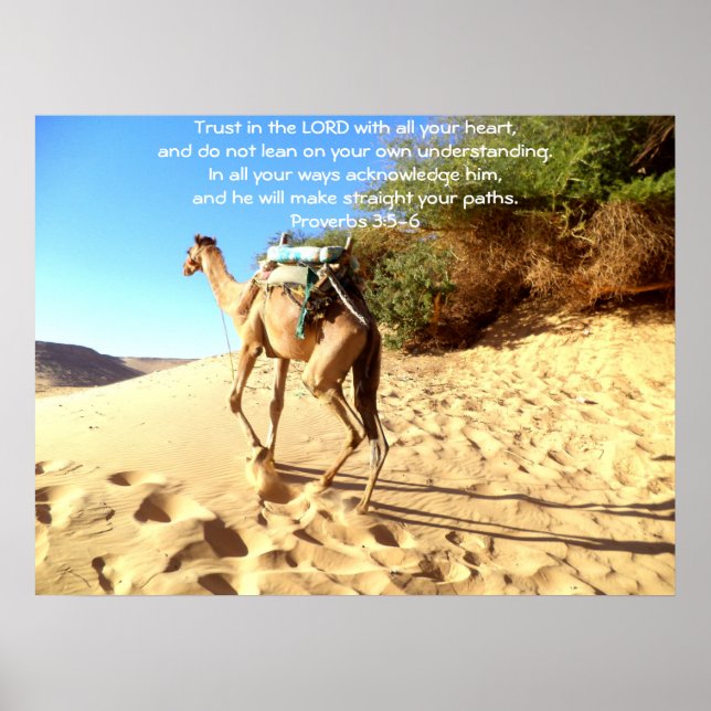 Poster Versets bibliques Citation sur les Proverbes de co (Devant)