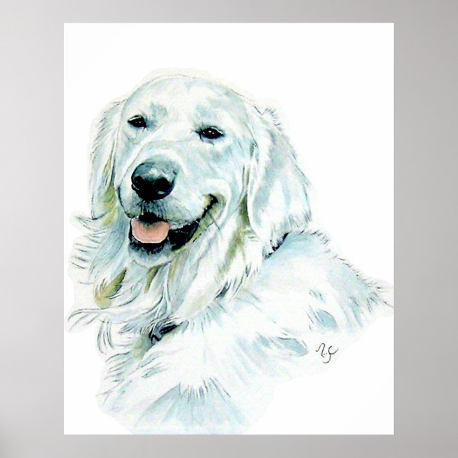 Poster Version anglaise Golden Retriever (Devant)