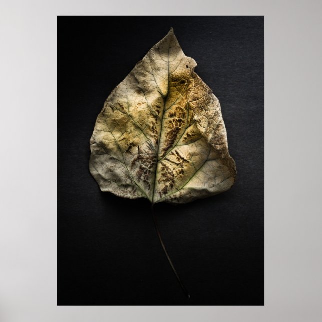 Poster Version couleur feuille no 1 (Devant)