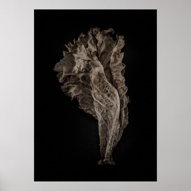 Poster Version couleur feuille no 8 (Devant)
