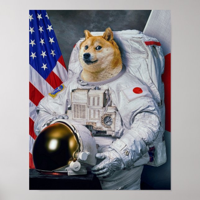 Poster Version d'impression Doge (Devant)
