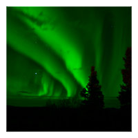 vert aurora-boréal