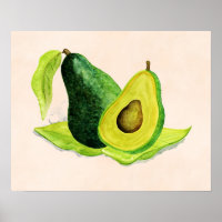 Vert Avocado Fruit à vie morte en aquarelle