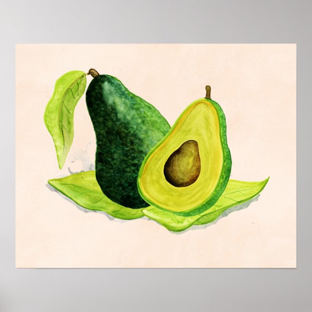 Poster Vert Avocado Fruit à vie morte en aquarelle (Devant)