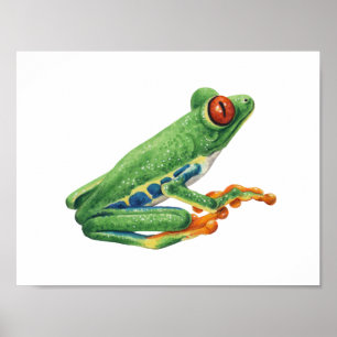 Poster Vert clair