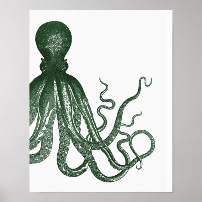 Poster vert moderne Octopus (Devant)