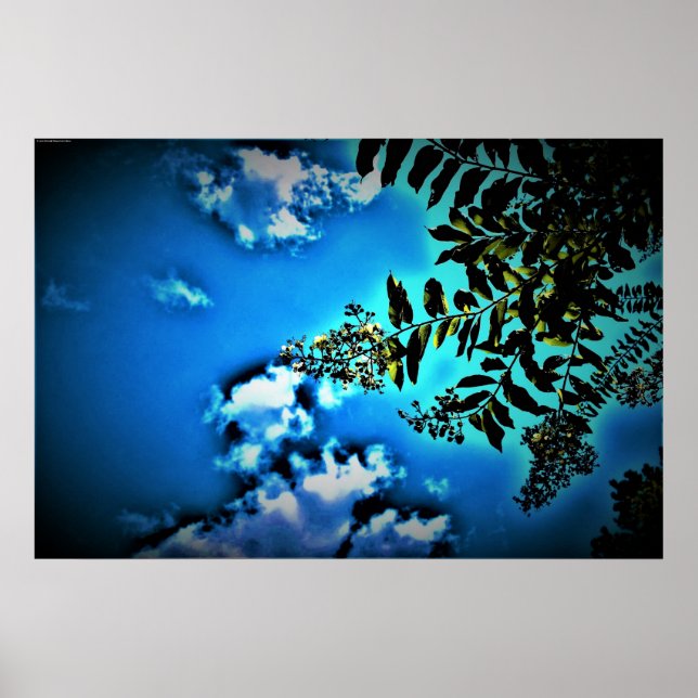 Poster Vert sur bleu, (Devant)