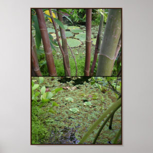 Poster vert sur l'eau