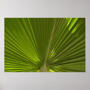 Poster Vert Tropical Palm Tree Frond