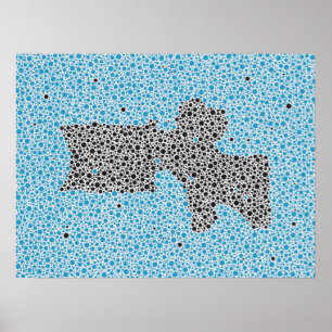 Poster Vertèbres lombaires d'illustration d'anatomie de