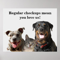 Vétérinaire Aimer vos animaux de compagnie Checkup