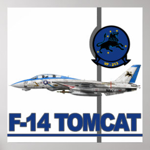 Poster VF-213 Blacklions Imprimer