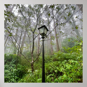 Poster Vibes portugaises