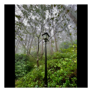 Poster Vibes portugaises