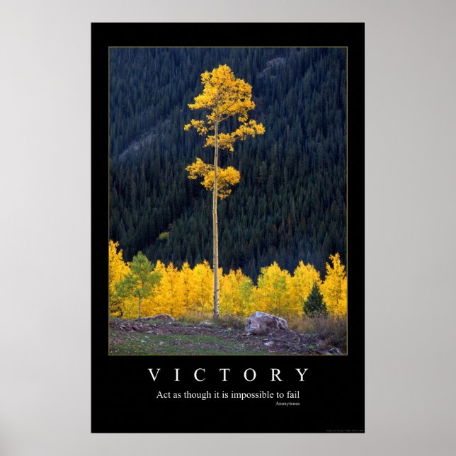 Poster Victoire (Devant)