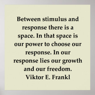 Poster victor frankl citation