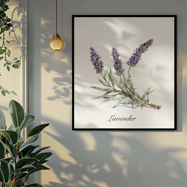 Poster Vie de plantes : Lavande, personnalisable (Créateur téléchargé)