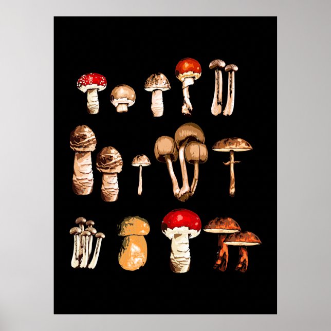 Poster Vie du champignon Picker (Devant)