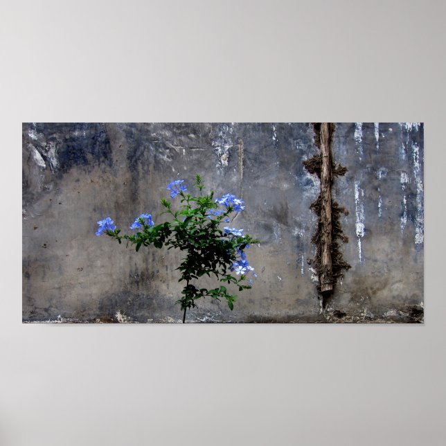 Poster Vie et mort (Devant)