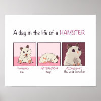 Vie Hamster