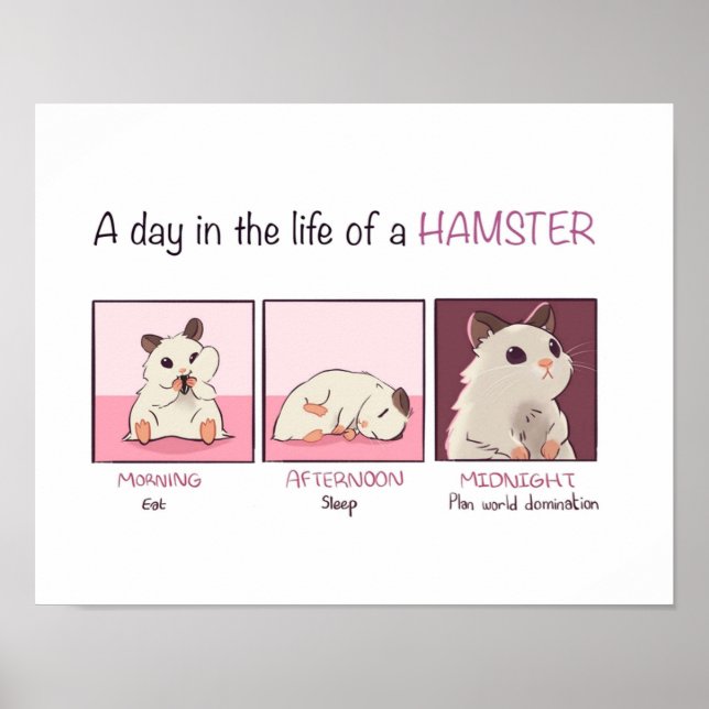 Poster Vie Hamster (Devant)