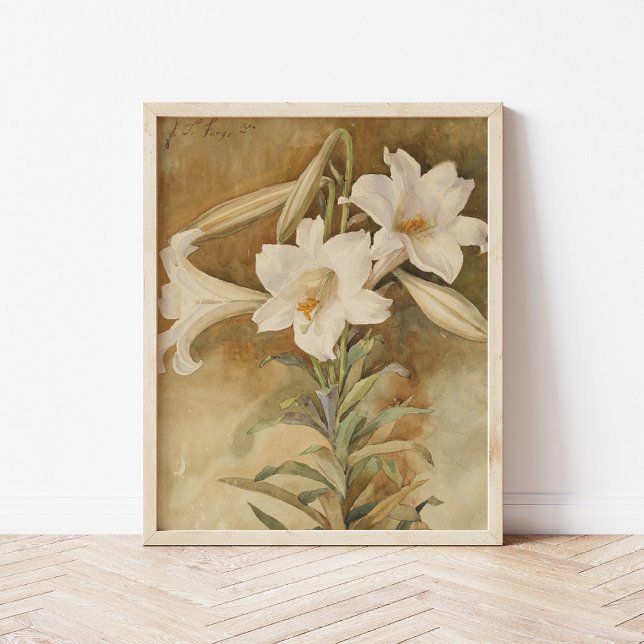 Poster Vie morte des Lys de Pâques | John La Farge (Créateur téléchargé)