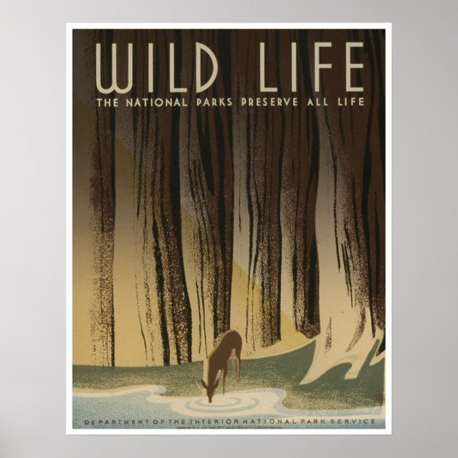 Poster Vie sauvage : Service des parcs nationaux (Devant)