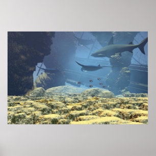 Poster vie sous-marine Imprimer
