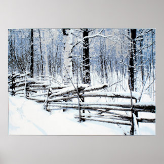 Poster Vieille clôture