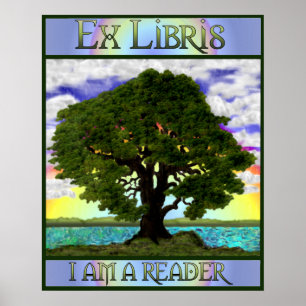 Poster Vieille copie de chêne