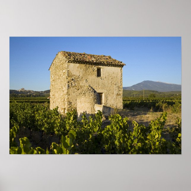 Poster Vieille maison dans le Comtat Venaissin, Vaucluse, (Devant)