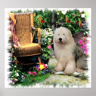 Poster Vieux anglais Shedog Art Imprimer