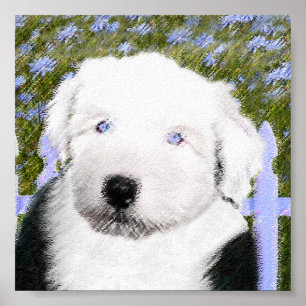 Poster Vieux anglais Sheepdog Puppy Peinture - Chien Art