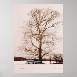 Poster Vieux camion-citerne classique Sycamore arbre Post