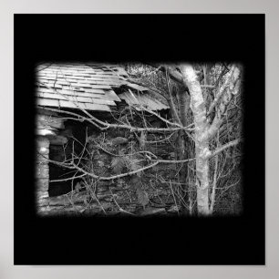 Poster Vieux cottage et arbre. Noir et blanc.