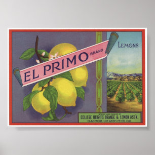 Poster Vieux étiquettes vintages de caisse de fruit de