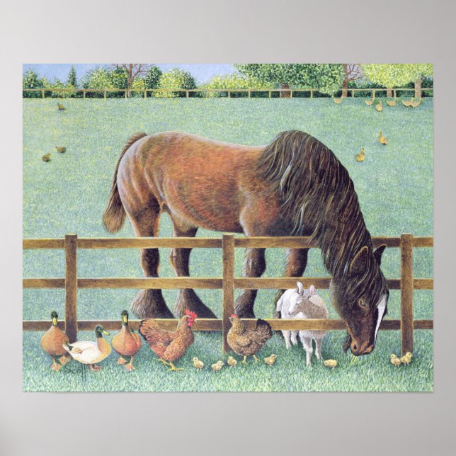 Poster Vieux fidèles (Devant)