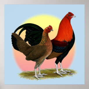 Poster Vieux jeu anglais Bantam : BB Red