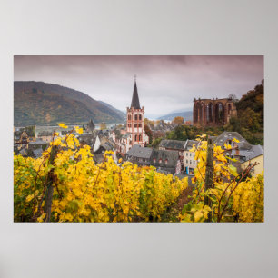 Poster View d'Elevated  