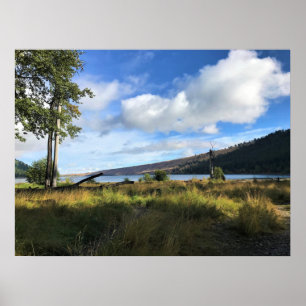 Poster View of Wallowa Lake