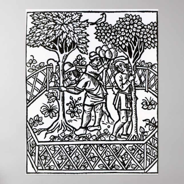 Poster Vignes (Devant)