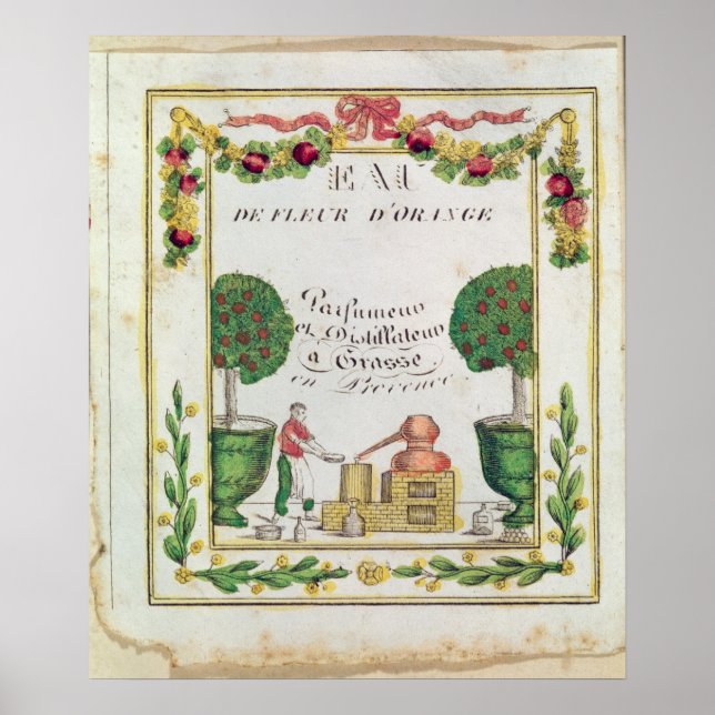 Poster Vignette de l'Eau de Fleur d'Orange (Devant)