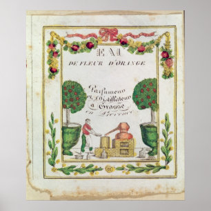 Poster Vignette of 'Eau de Fleur d'Orange'