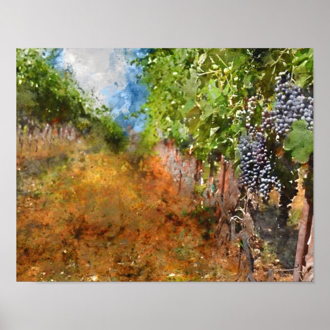 Poster Vignoble à Napa Valley en Californie (Devant)