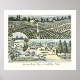 Poster Vignoble de Nouveau Medoc et caves