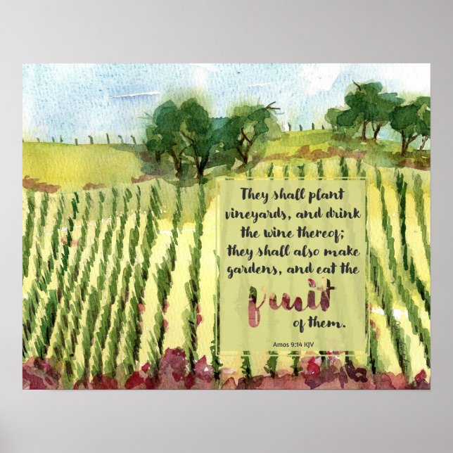 Poster Vignoble Écriture Amos Raisins d'eau aquarelle (Devant)
