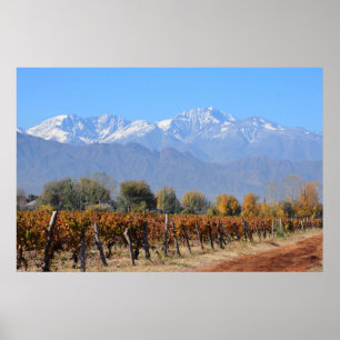 Poster Vignobles À L'Automne De Mendoza, Argentine