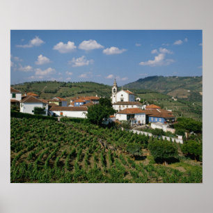 Poster Vignobles, village de San Miguel, Douro