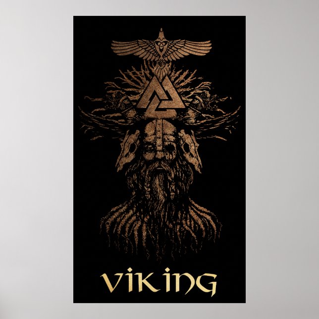 Poster Viking Warrior (Devant)