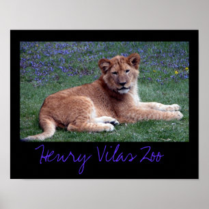 Poster Vilas Zoo Club